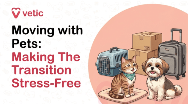 Moving with Pets: How to Make the Transition Stress-Free