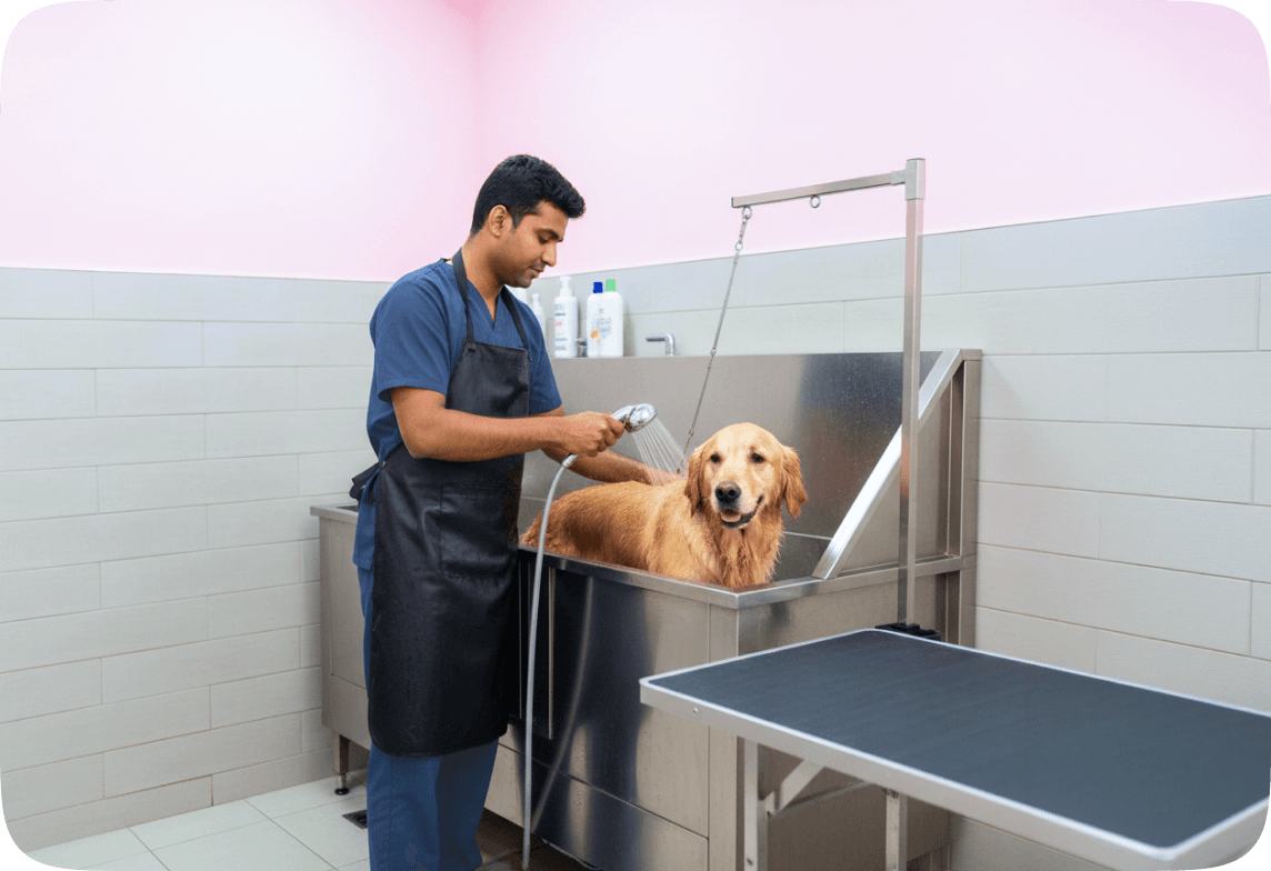 Pet wellness service